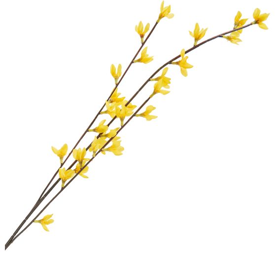 Forsythia branch, ca. L 83 cm